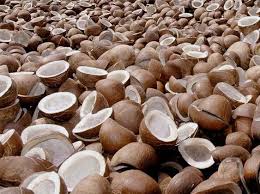 Dried Coconut Manufacturer Supplier Wholesale Exporter Importer Buyer Trader Retailer in Coimbatore Tamil Nadu India